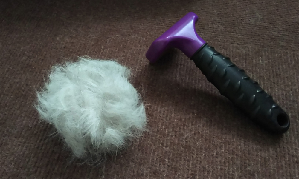 スリッカーブラシと抜け毛