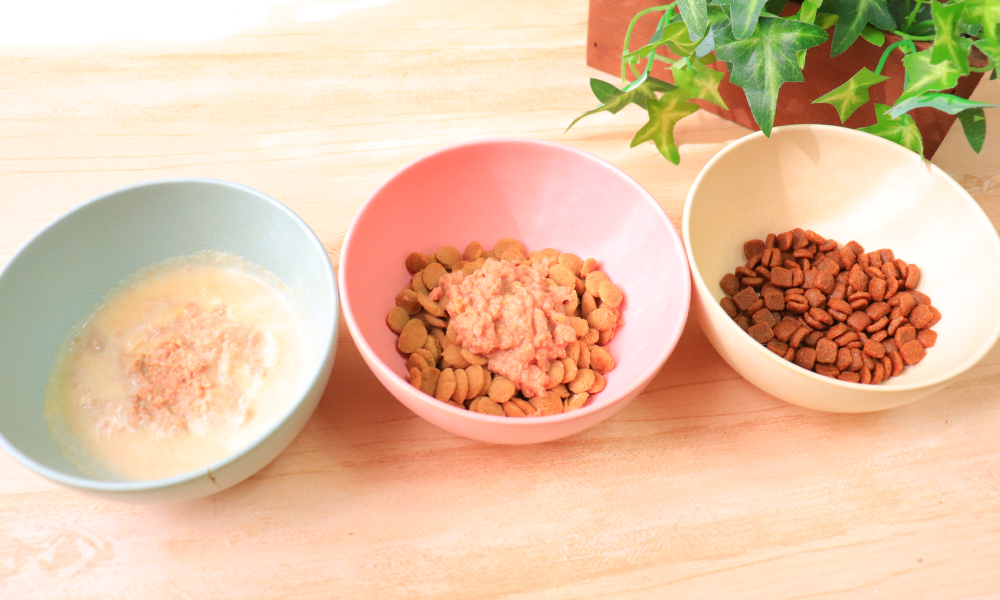 切り替えのために混ぜたご飯