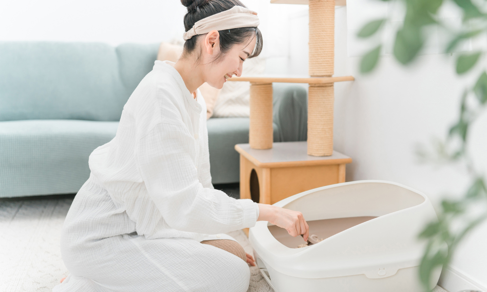 猫砂を変えてあげている飼い主