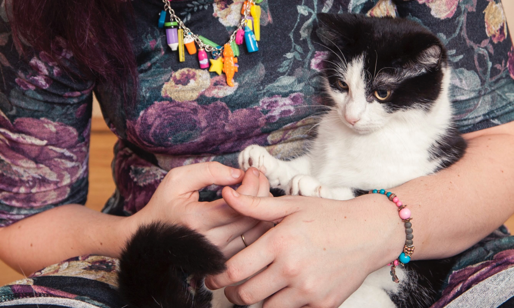 飼い主に抱っこされる猫